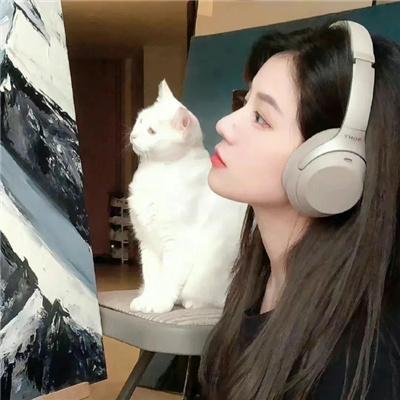 百花缭乱 武士少女 特典 海报